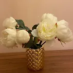 Bianca The アパート *