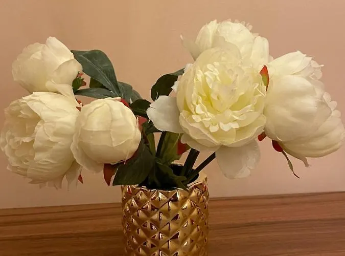 Bianca The Apartamento *